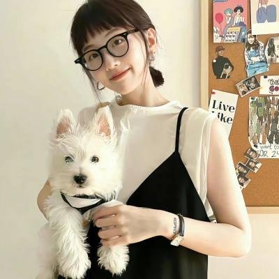 黄叶舞青风
